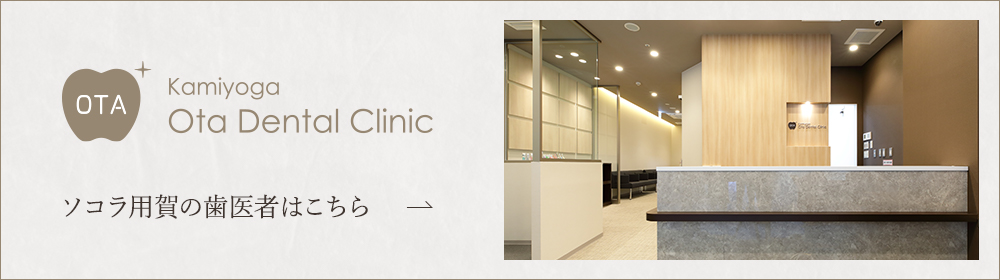 Kamiyoga Ota Dental Clinic