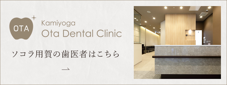 Kamiyoga Ota Dental Clinic