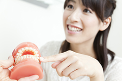 歯並びの乱れは、心と体の健康に影響します